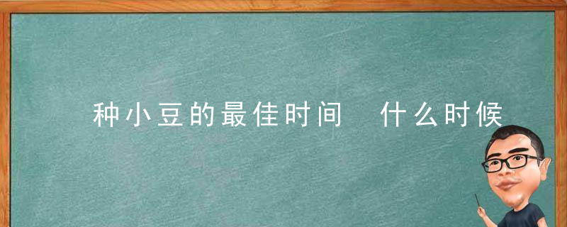 种小豆的最佳时间 什么时候种小豆最合适